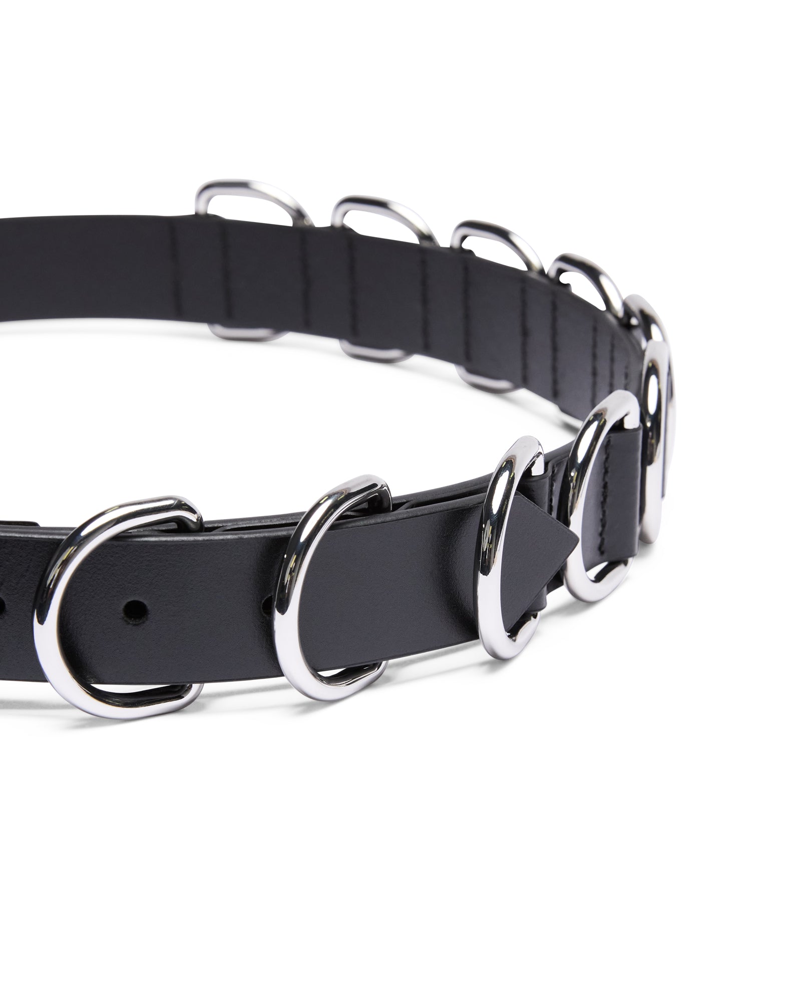 01-BELT_1000_2048x.jpg