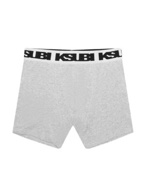 Royalty Boxer Brief 1 Pack Grey Marle